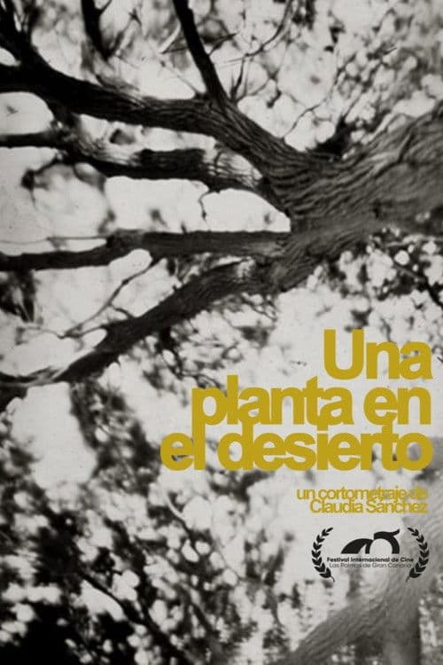 A plant in the desert poster