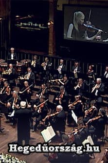 Hegedűország.hu poster