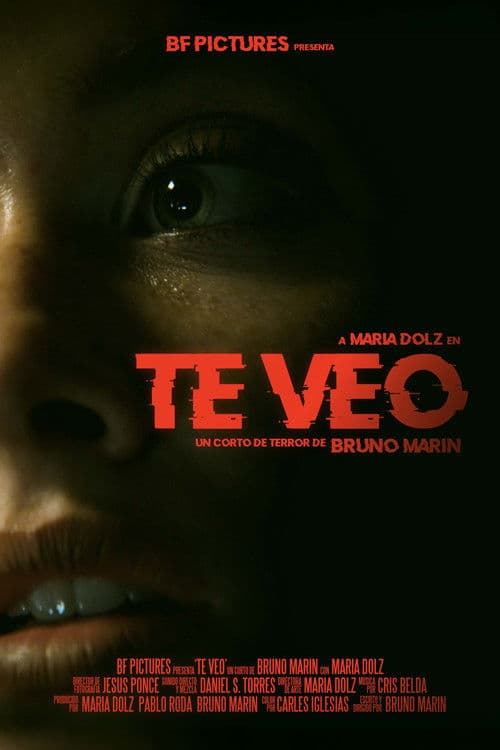 Te Veo poster