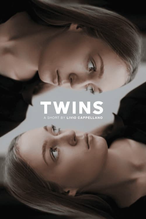 Twins poster