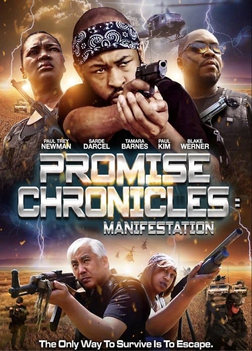 Promise Chronicles: Manifestation poster