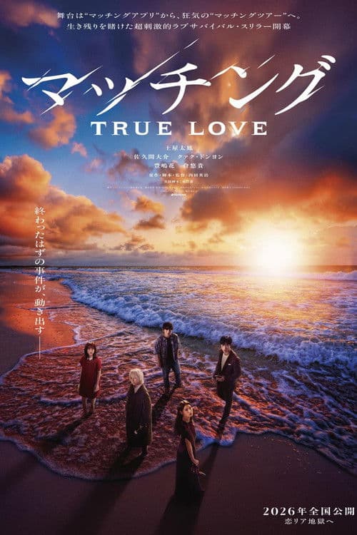 Matched: True Love poster