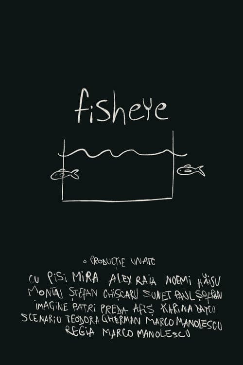 fisheye poster