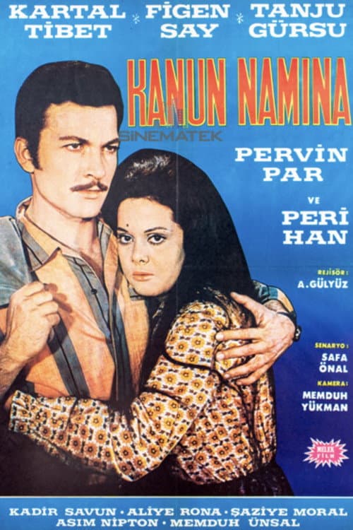 In the name of the Law poster