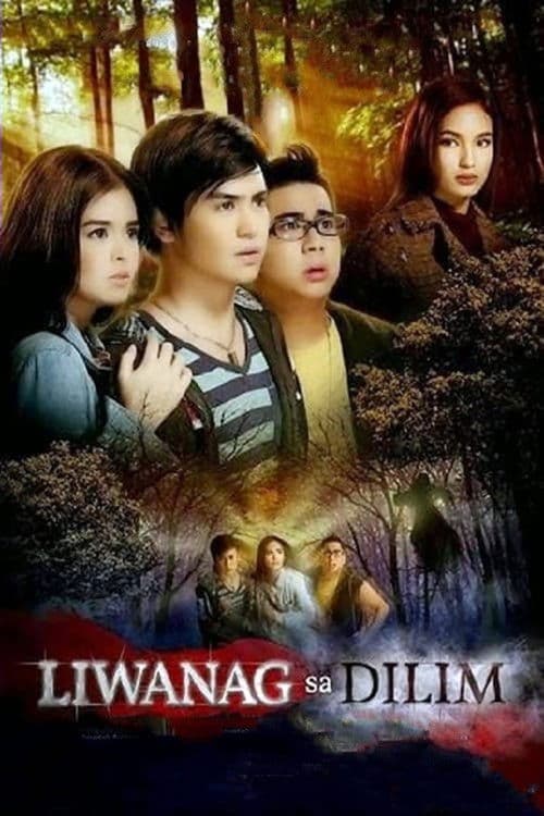 Liwanag sa Dilim poster