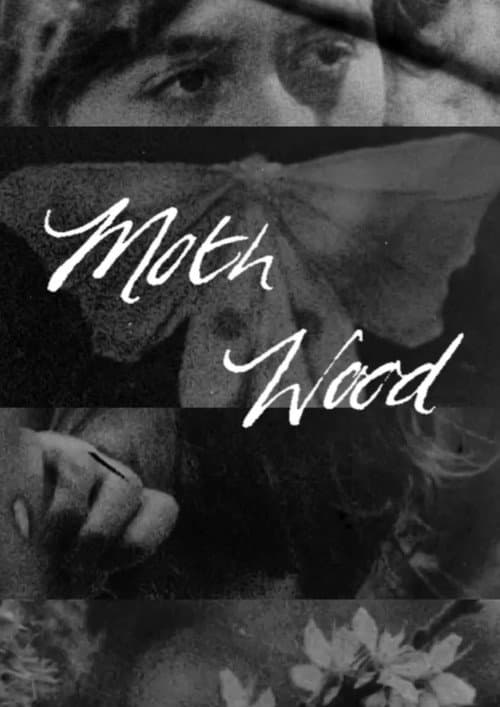 Moth Wood poster