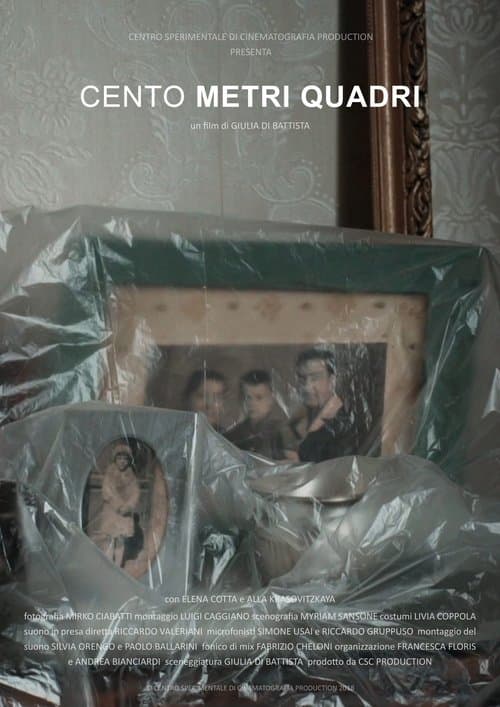 One Hundred Square Meters poster