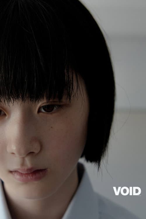 Void poster
