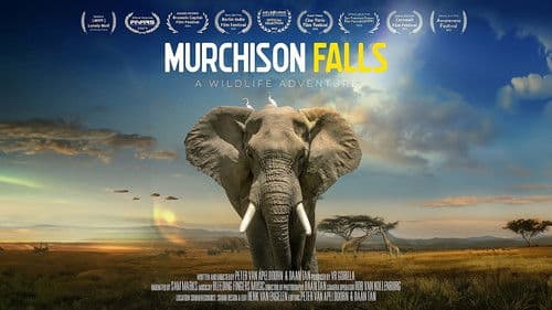 Murchison Falls poster
