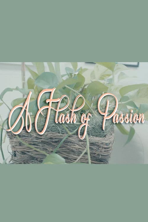 A Flash Of Passion poster