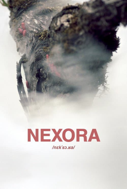 Nexora poster