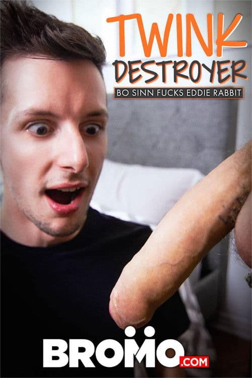 Twink Destroyer poster