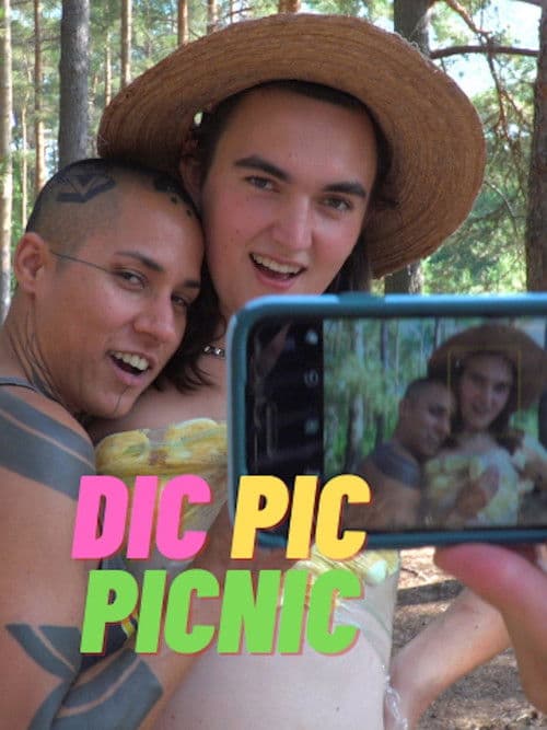 Dic Pic Picnic poster