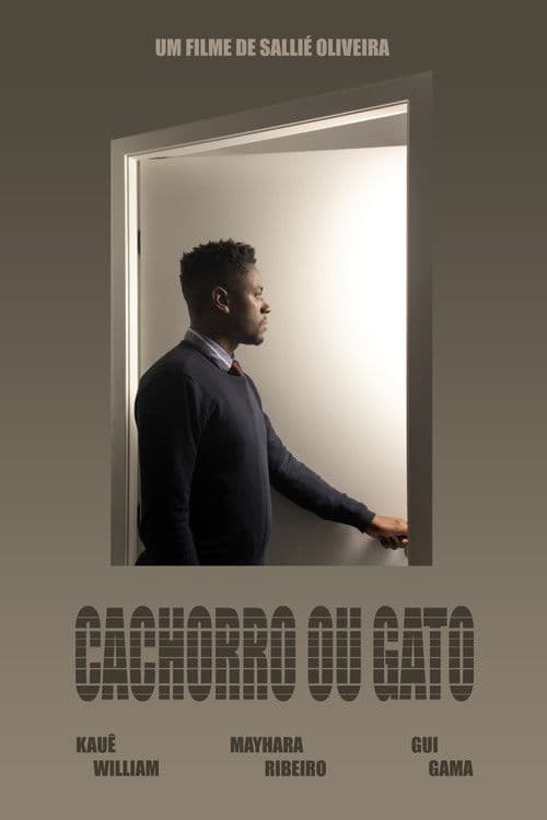 Cachorro ou Gato poster