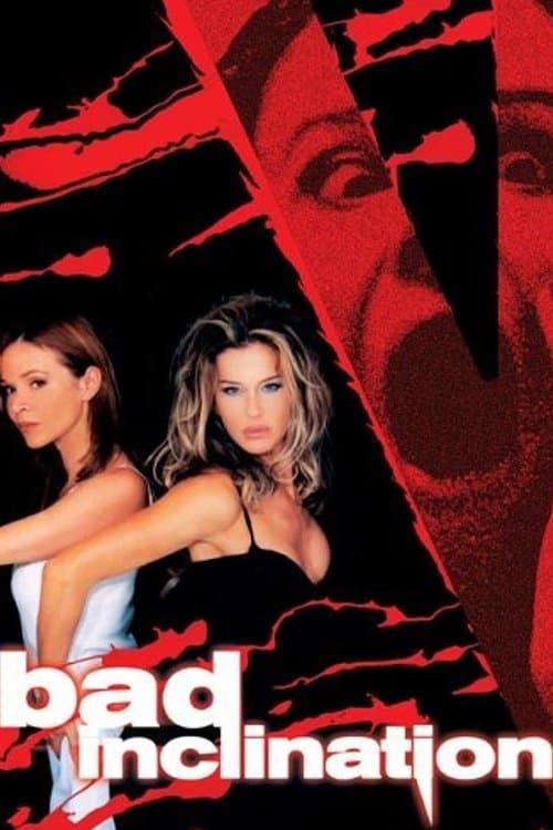 Bad Inclination poster