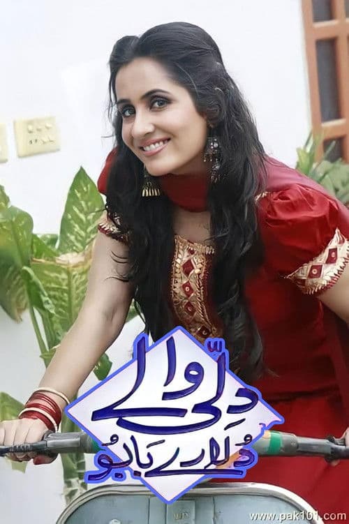 Dilli Walay Dularay Babu poster