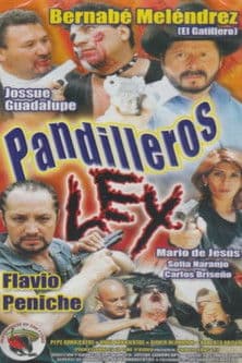 Pandilleros Ley poster