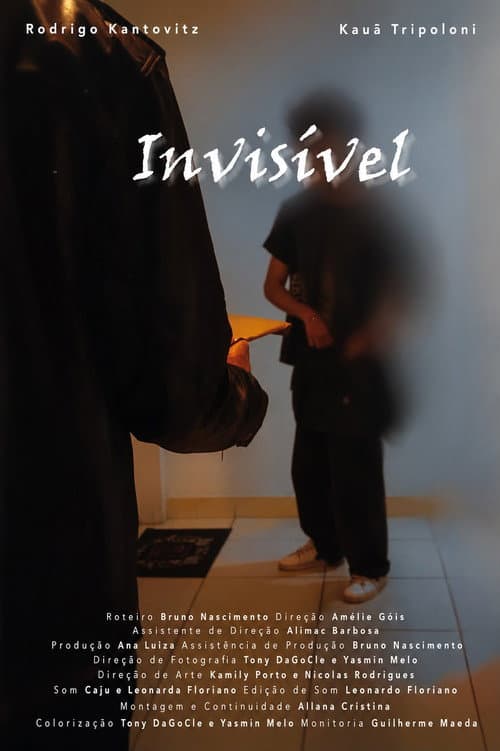 Invisivel poster