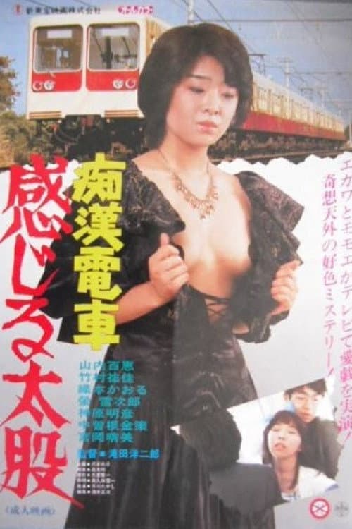 Molester's Train: Momoe's Ass poster
