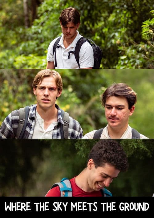 Where the Sky Meets the Ground poster