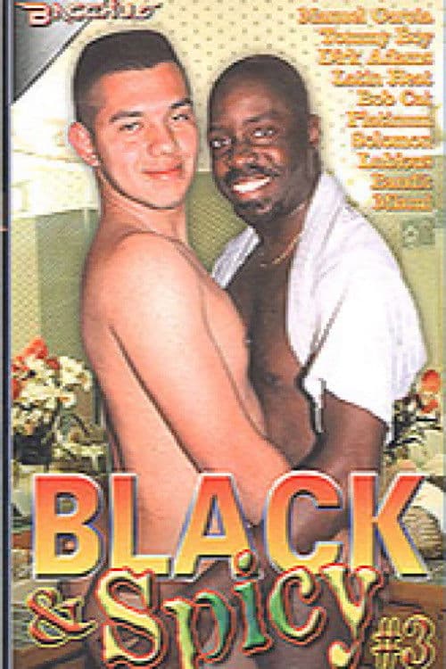 Black & Spicy 3 poster
