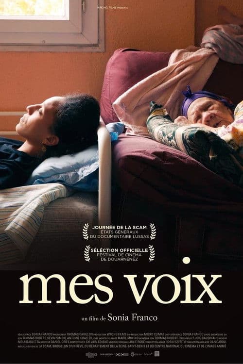 Voices poster