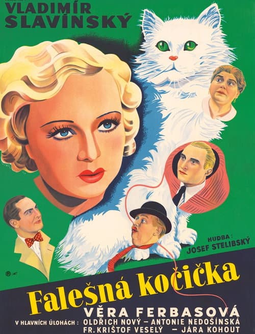 Falešná kočička poster
