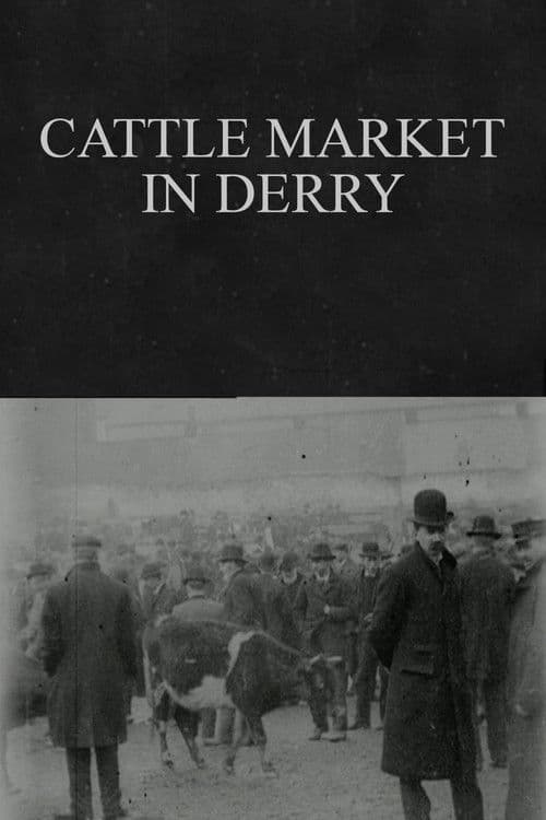 Cattle Market in Derry poster