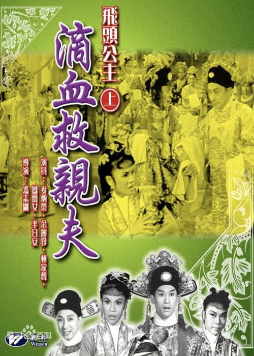 The Flying Head Princess poster