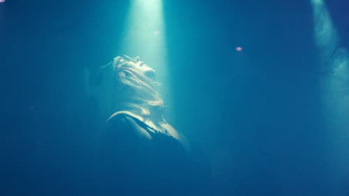 TINY KITTEN VS. THE 2NARY SYSTEM poster