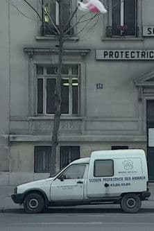 Nous sommes tous des cafards poster