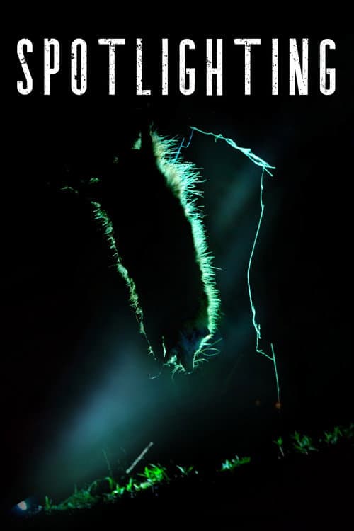 Spotlighting poster