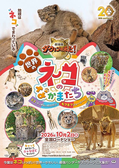 Darwin's Amazing Animals: Cats Around the World poster