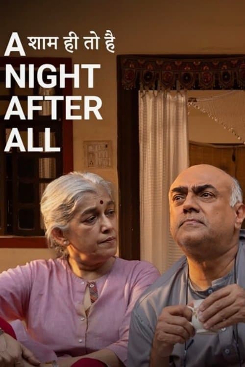A Night, After All poster