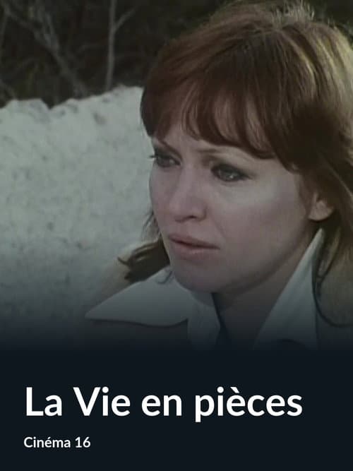La Vie en pièces poster