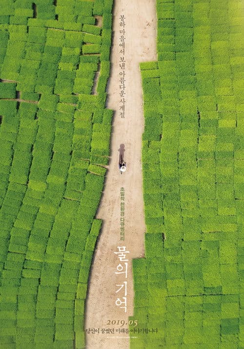 The Memory of Water poster