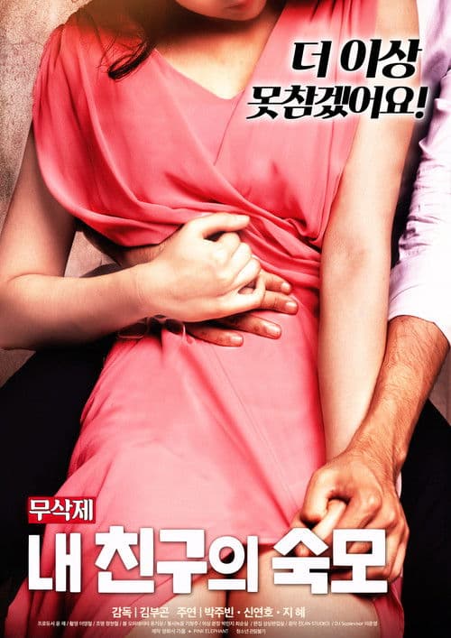 My Friend's Aunt poster