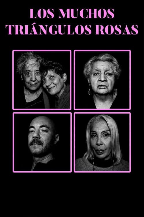 The Many Pink Triangles poster