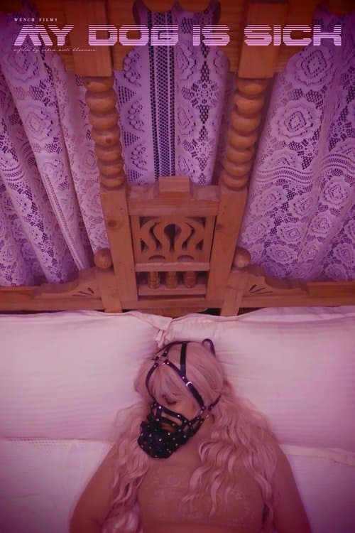 My Dog Is Sick poster