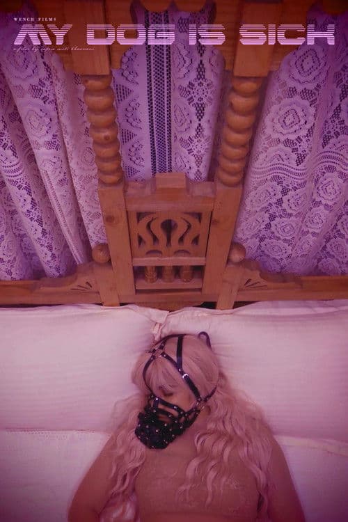 My Dog Is Sick poster