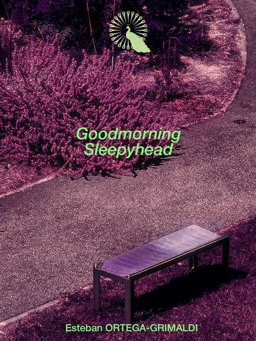 Goodmorning Sleepyhead poster