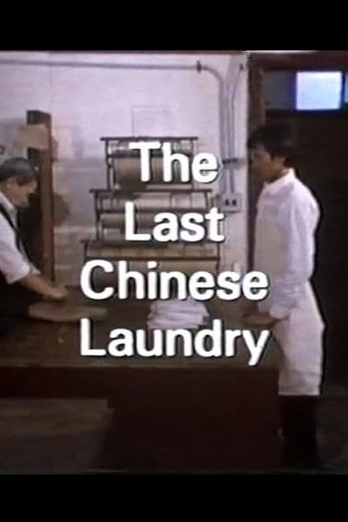 The Last Chinese Laundry poster