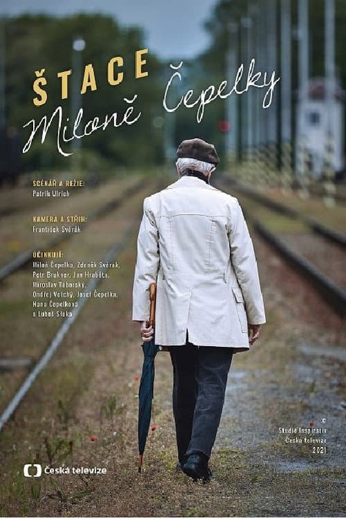 Miloš Čepelka's Steps poster