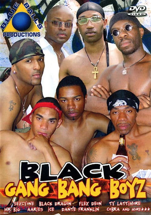 Black Gang Bang Boyz poster