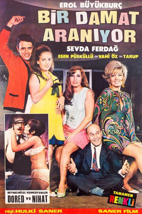 Bir Damat Aranıyor poster