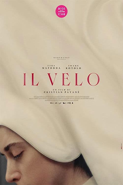 The Veil poster
