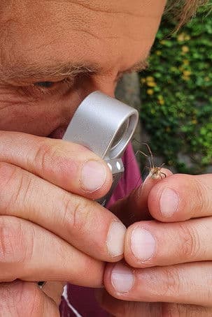 Geheimnisvolle Parktiere - Wildes Leben in der Stadt poster