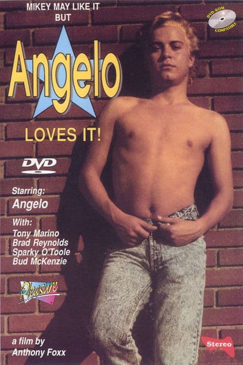 Mikey May Like It But Angelo Loves It poster