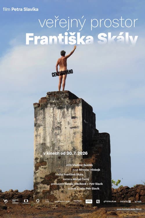 Public Space of František Skála poster