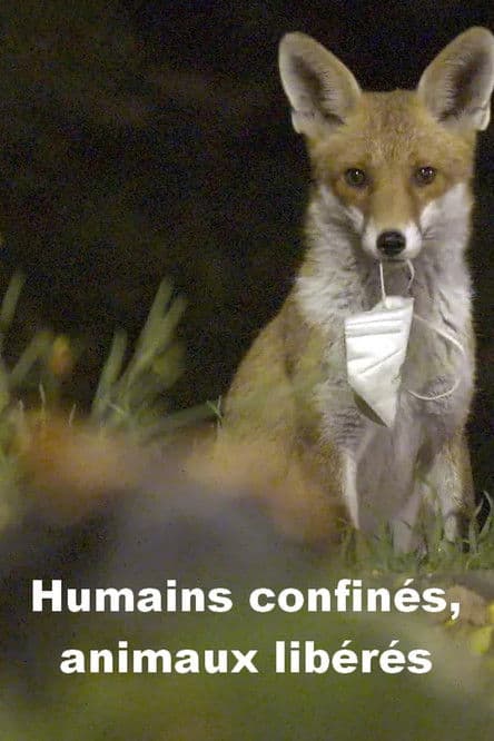 Menschen eingesperrt, Tiere befreit poster